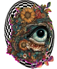 DMT — Psychedelic T-Shirt by PsychonautDream