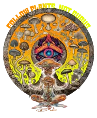 Follow plants, not gurus, Shroom — Psychedelic T-Shirt by PsychonautDream
