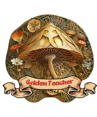 Golden Teacher Magic Shroom — Inner Wisdom — Psychedelic T-Shirt by PsychonautDream