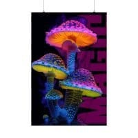 Magic Mushrooms, Magic! — Psychedelic Poster by PsychonautDream