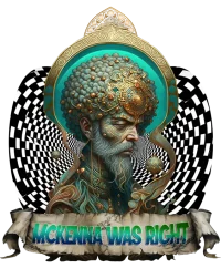 McKenna Was Right — Psychedelic T-Shirt by PsychonautDream