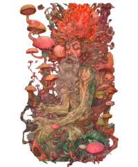 Psychonaut Ram Dass — Psychedelic T-Shirt by PsychonautDream