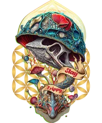 Stay trippy — Psychedelic T-Shirt by PsychonautDream