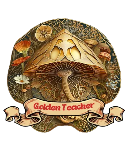 beautiful Golden teacher mushroom