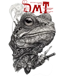 DMT Magic trippy Toad — Psychedelic T-Shirt by PsychonautDream