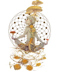 Magic Shroom Psychonaut — Psychedelic T-Shirt by PsychonautDream