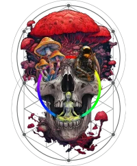 Mind-Expanding Psychonaut — Psychedelic T-Shirt by PsychonautDream