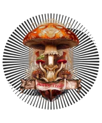 Amanita Muscaria — Psychedelic T-Shirt by PsychonautDream