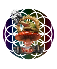 Bufo Alvarius Awakening — Psychedelic T-Shirt by PsychonautDream
