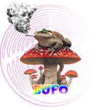 Bufo Alvarius DMT Vision on Amanita Muscaria — Psychedelic T-Shirt by PsychonautDream