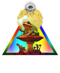 Bufo DMT Vision on a Magic Mushroom — Psychedelic T-Shirt by PsychonautDream