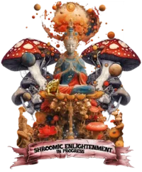 Custom-designed t-shirt featuring a meditating Buddha surrounded by psychedelic mushrooms with a scroll reading “Shroom Enlightenment in Progress.”