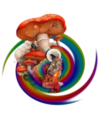 Custom-designed t-shirt featuring an astronaut floating beside a vibrant magic mushroom with sacred geometry and fractals.