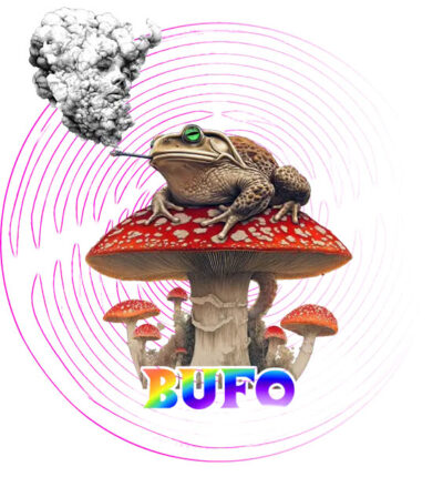 ayahuasca ceremony with bufo